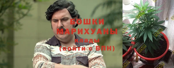 PSILOCYBIN Горняк