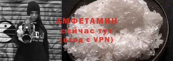 PSILOCYBIN Горняк