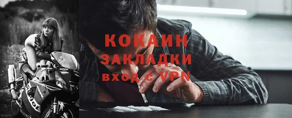 PSILOCYBIN Горняк