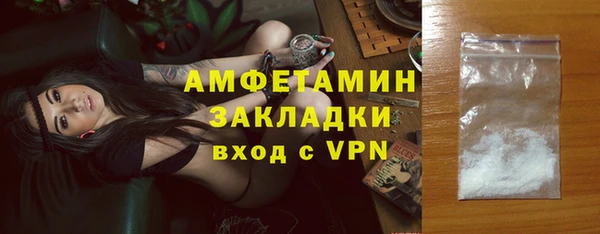 PSILOCYBIN Горняк