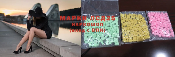 PSILOCYBIN Горняк