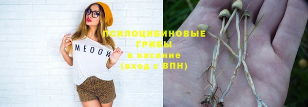 PSILOCYBIN Горняк