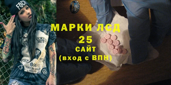 PSILOCYBIN Горняк
