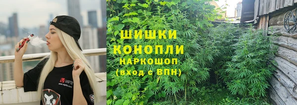 бошки Гусь-Хрустальный