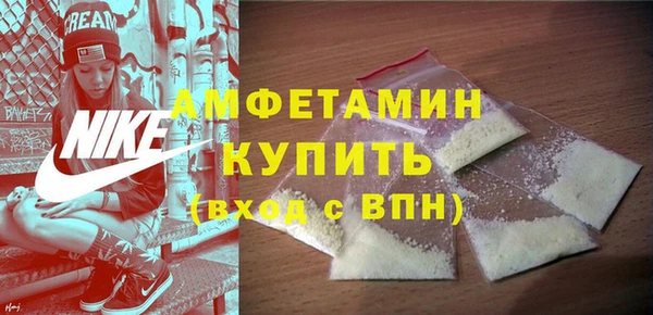 PSILOCYBIN Горняк
