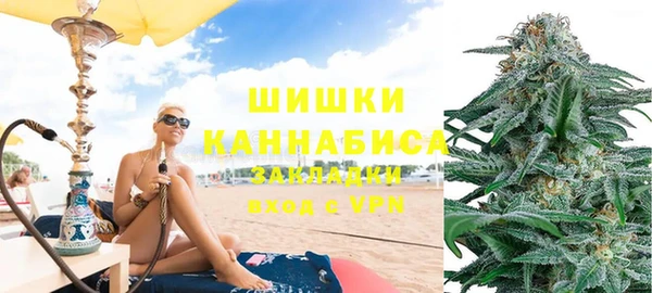 PSILOCYBIN Горняк