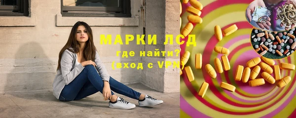 PSILOCYBIN Горняк