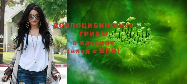 PSILOCYBIN Горняк