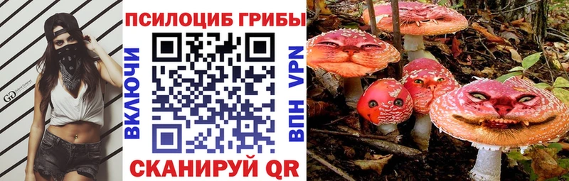 Псилоцибиновые грибы прущие грибы  Купить где  Минеральные Воды 